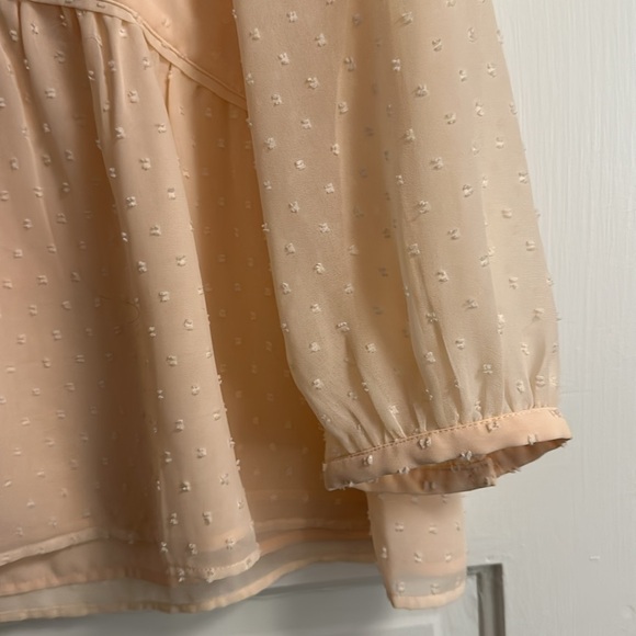 Loft Swiss Dot Blouse - Picture 4 of 6